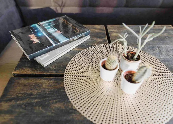 Martins River View Under The Castle Bratislava